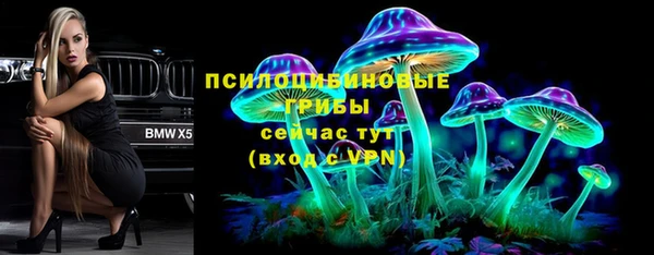 прущие грибы Армянск