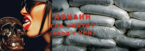 прущие грибы Армянск