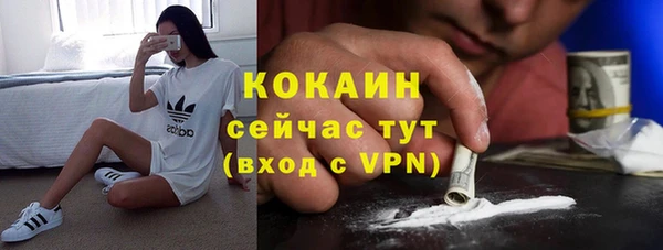 прущие грибы Армянск