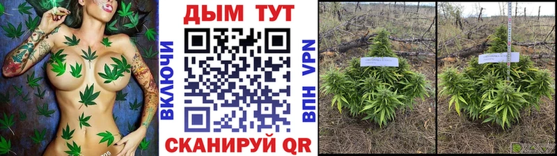 Конопля ГИДРОПОН KRAKEN tor Губаха