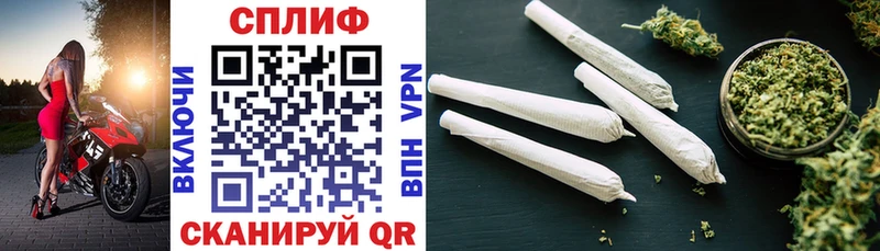 Конопля OG Kush Губаха